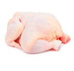POLLO SOFIA CODIGO 7